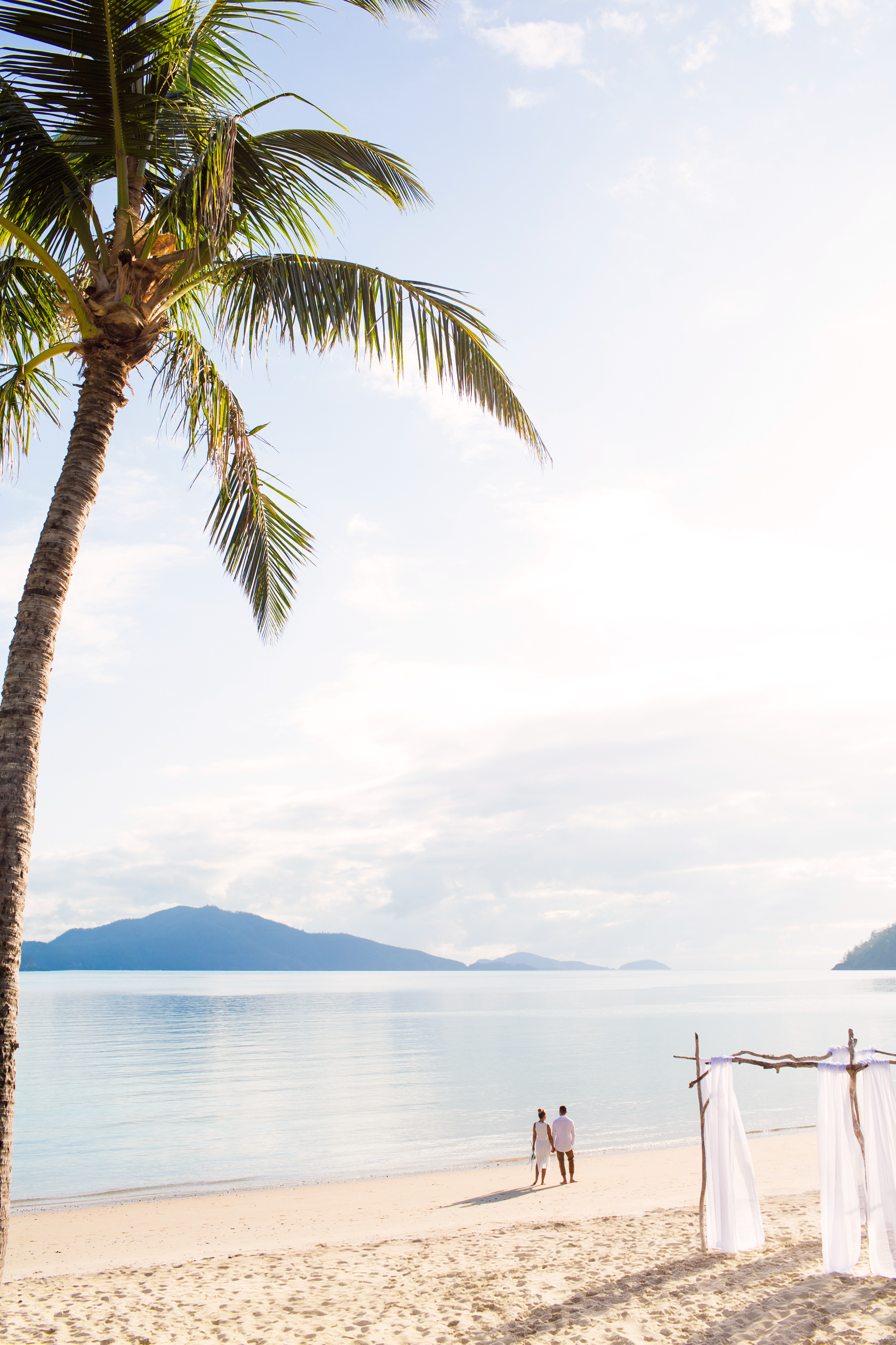 10 things you probably didn’t know Hamilton Island Blog