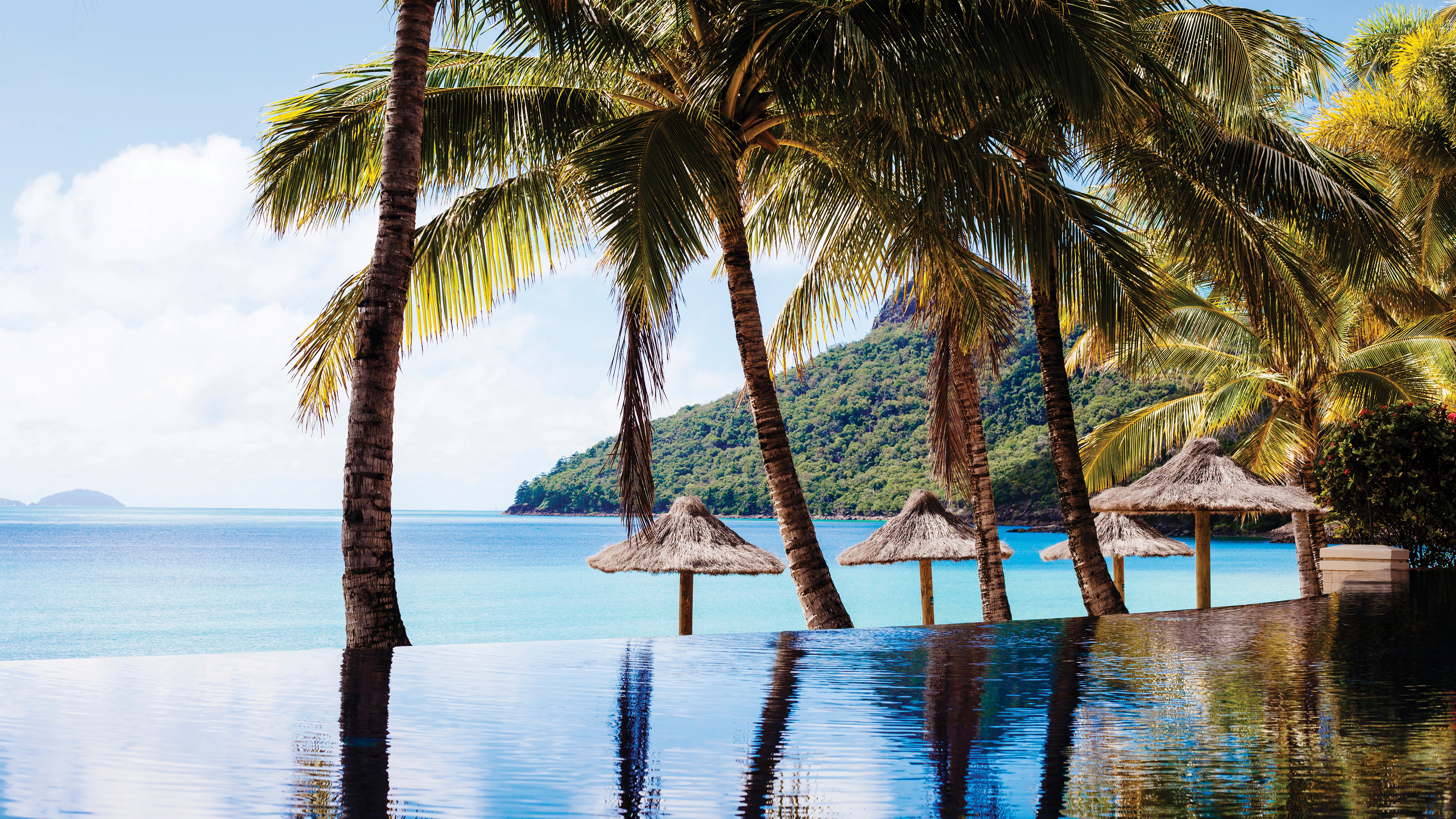 Dial in from paradise | Hamilton Island Blog