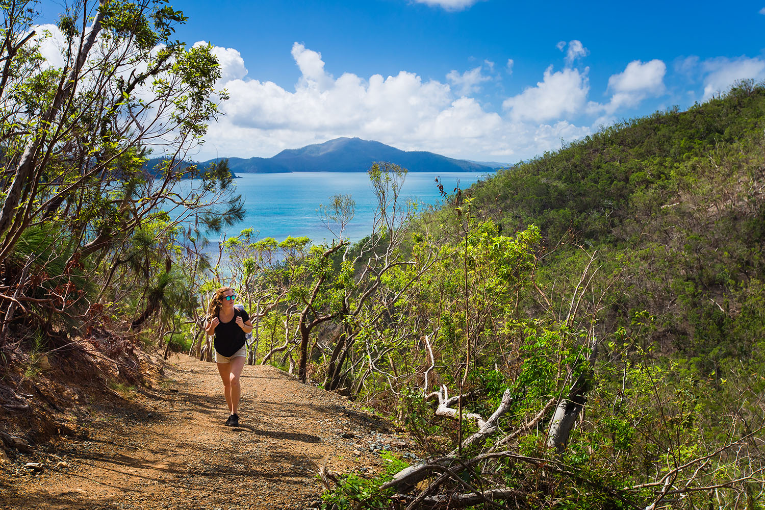 hamilton island walking tour