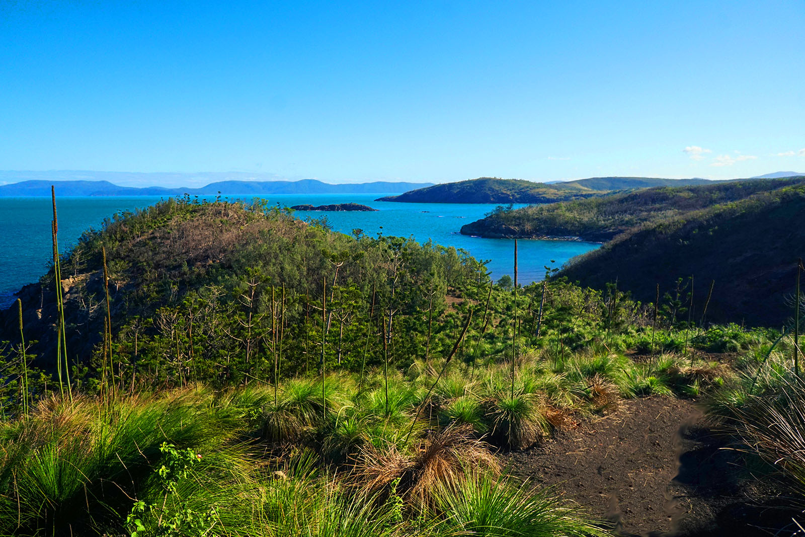 hamilton island walking tour