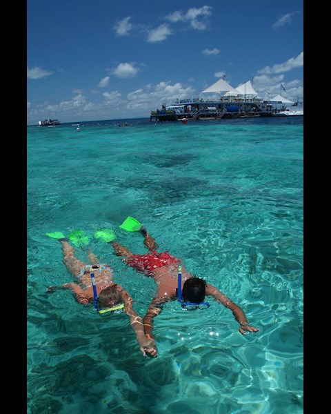 Cruise Whitsundays Great Barrier Reef Adventures Hamilton Cruise Whitsundays Great Barrier Reef Adventures Hamilton