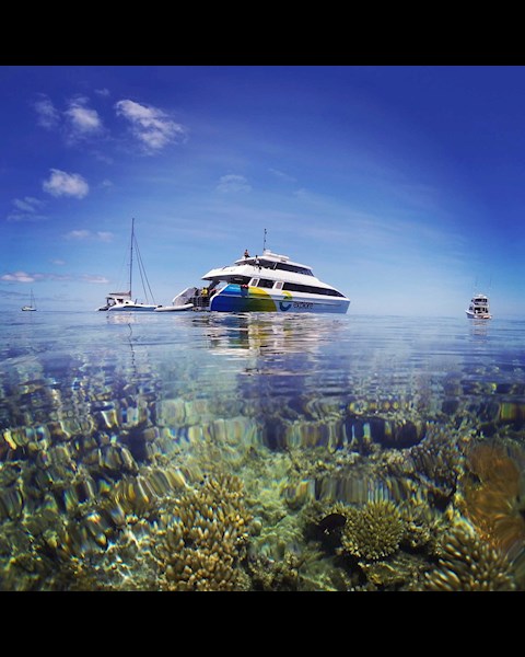 Great Barrier Reef Hamilton Island Accommodation Great Barrier Reef Hamilton Island Accommodation