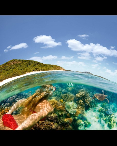 Snorkeling And Diving Tours Hamilton Island Luxury Snorkeling And Diving Tours Hamilton Island Luxury