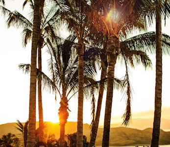 One Tree Hill Hamilton Island Opening Hours One Tree Hill Hamilton Island Opening Hours
