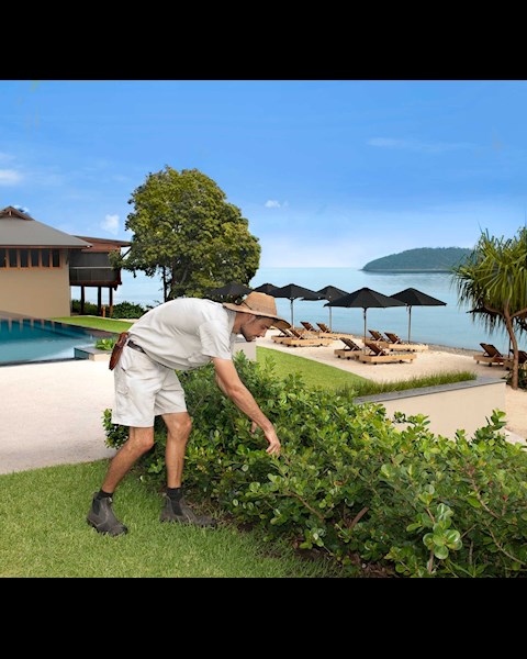 join our team job opportunities at whitsundays hamilton island