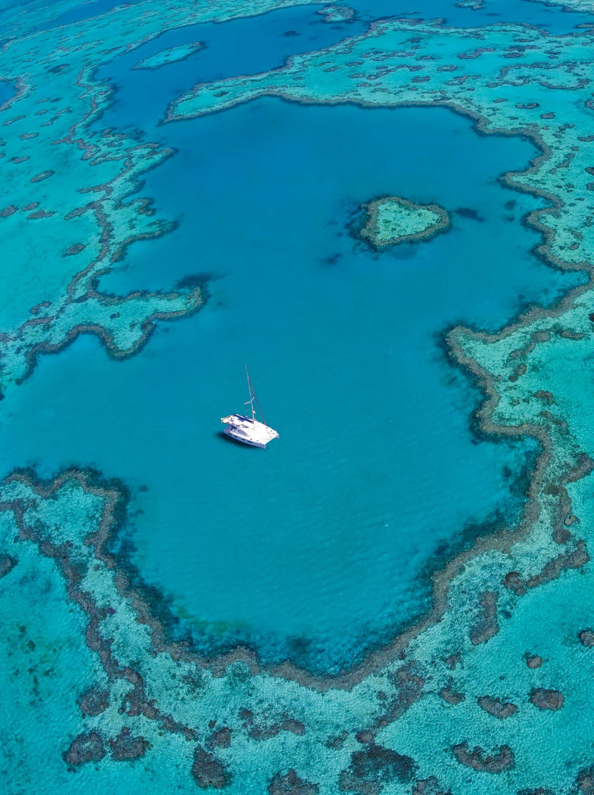 Explore the Heart Reef and the Great Barrier Reef by boat - Hamilton Island family holidays